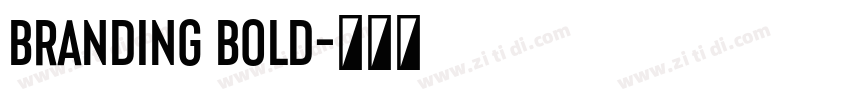 Branding Bold字体转换 Branding Bold字体转换
